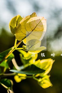 闪银瞬瞬逾期6天套路吗 闪银瞬瞬逾期6天套路吗