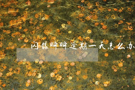 闪银瞬瞬逾期一天怎么办 闪银瞬瞬逾期一天怎么办