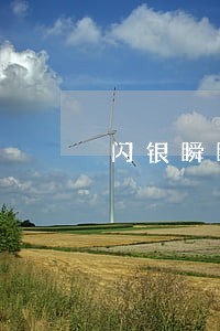 闪银瞬瞬逾期一天接到语音电话 闪银瞬瞬逾期一天接到语音电话