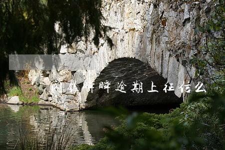 闪银瞬瞬逾期上征信么 闪银瞬瞬逾期上征信么