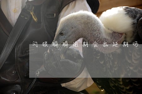闪银瞬瞬逾期会出延期吗 闪银瞬瞬逾期会出延期吗