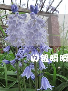 闪银瞬瞬逾期几天打电话 闪银瞬瞬逾期几天打电话