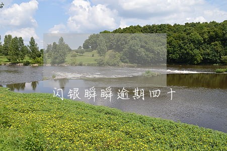 闪银瞬瞬逾期四十 闪银瞬瞬逾期四十
