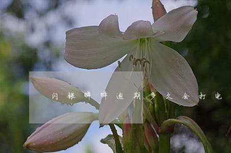 闪银瞬瞬逾期多久会打电话 闪银瞬瞬逾期多久会打电话