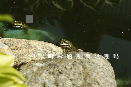 闪银瞬瞬逾期有延期吗 闪银瞬瞬逾期有延期吗