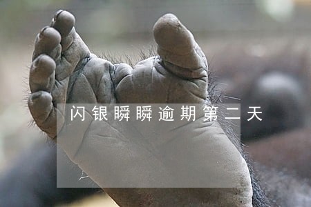闪银瞬瞬逾期第二天 闪银瞬瞬逾期第二天