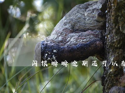 闪银瞬瞬逾期还可以部分还款吗