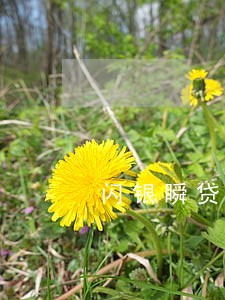 闪银瞬贷逾期会上门 闪银瞬贷逾期会上门