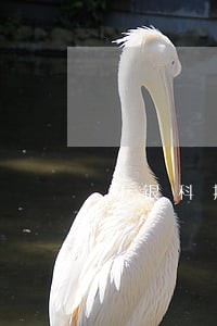 闪银科技逾期三个月 闪银科技逾期三个月