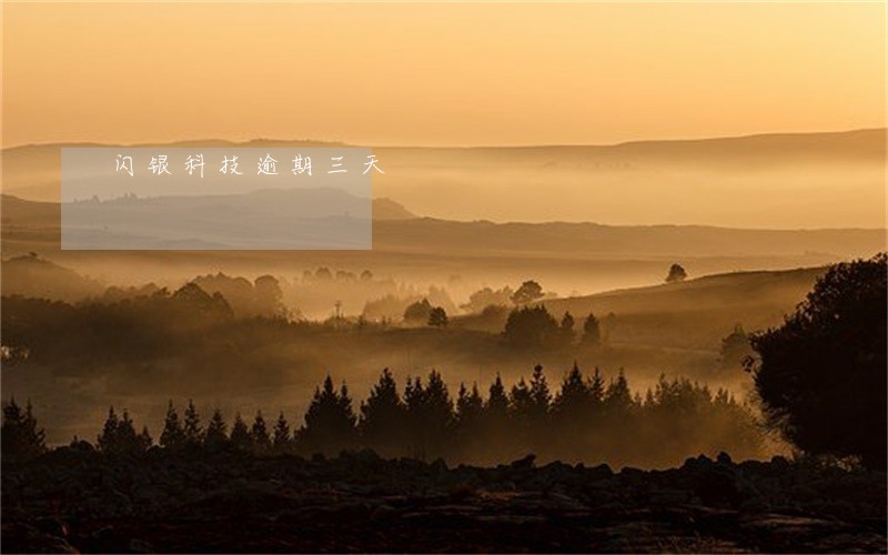 闪银科技逾期三天 闪银科技逾期三天