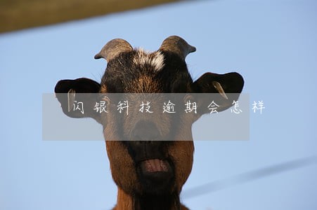 闪银科技逾期会怎样 闪银科技逾期会怎样