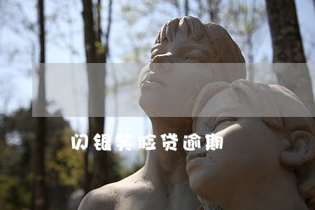 闪银笑脸贷逾期 闪银笑脸贷逾期
