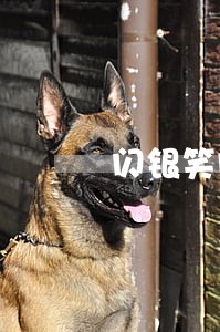 闪银笑脸贷逾期15天 闪银笑脸贷逾期15天