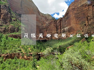闪银笑脸逾期上征信吗 闪银笑脸逾期上征信吗
