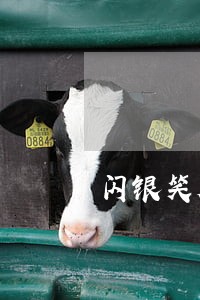 闪银笑脸逾期几天 闪银笑脸逾期几天