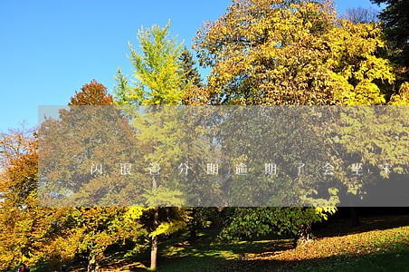 闪银管分期逾期了会坐牢么 闪银管分期逾期了会坐牢么