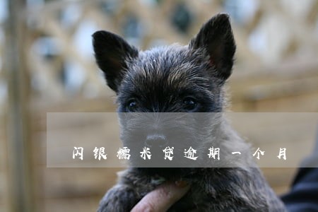 闪银糯米贷逾期一个月 闪银糯米贷逾期一个月