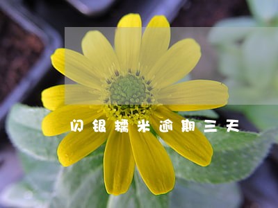 闪银糯米逾期三天 闪银糯米逾期三天