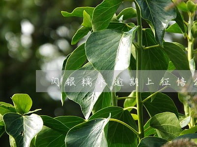 闪银糯米逾期上征信么 闪银糯米逾期上征信么