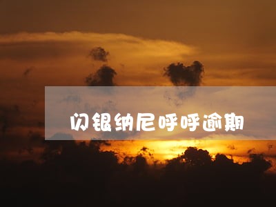 闪银纳尼呼呼逾期 闪银纳尼呼呼逾期