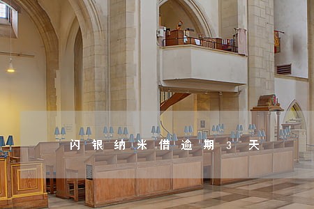 闪银纳米借逾期3天