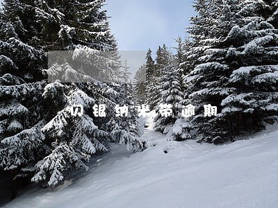 闪银纳米带逾期 闪银纳米带逾期