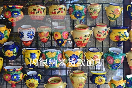 闪银纳米货款逾期 闪银纳米货款逾期