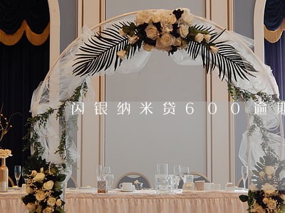 闪银纳米贷600逾期521天 闪银纳米贷600逾期521天