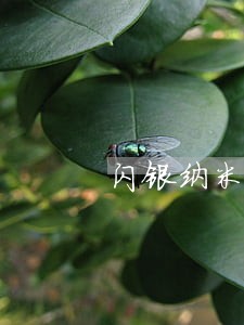 闪银纳米贷呼呼逾期