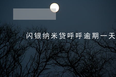 闪银纳米贷呼呼逾期一天 闪银纳米贷呼呼逾期一天