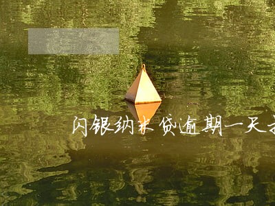 闪银纳米贷逾期一天打电话么