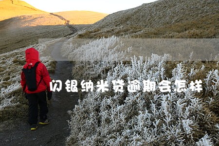 闪银纳米贷逾期会怎样 闪银纳米贷逾期会怎样