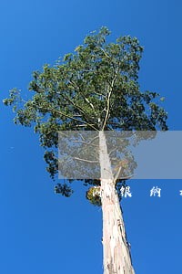 闪银纳米贷逾期几天 闪银纳米贷逾期几天