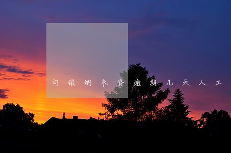 闪银纳米贷逾期几天人工催收