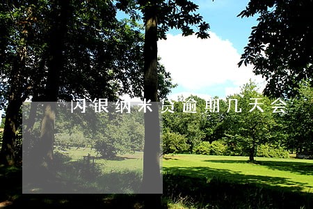 闪银纳米贷逾期几天会