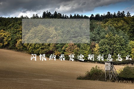 闪银纳米贷逾期利息怎么算 闪银纳米贷逾期利息怎么算