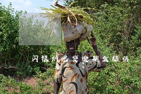 闪银纳米贷逾期发短信 闪银纳米贷逾期发短信