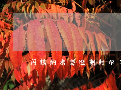 闪银纳米贷逾期封印了