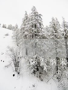闪银纳米逾期10天 闪银纳米逾期10天