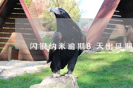 闪银纳米逾期8天出延期 闪银纳米逾期8天出延期