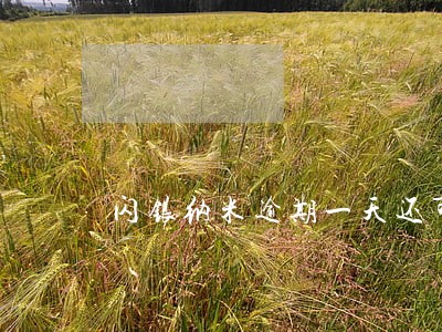 闪银纳米逾期一天还可以用吗 闪银纳米逾期一天还可以用吗