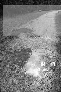 闪银纳米逾期两天再借 闪银纳米逾期两天再借