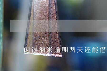 闪银纳米逾期两天还能借 闪银纳米逾期两天还能借