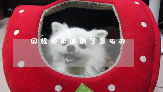 闪银纳米逾期了怎么办 闪银纳米逾期了怎么办