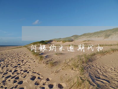 闪银纳米逾期代扣 闪银纳米逾期代扣