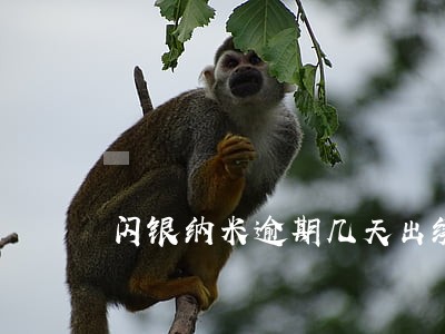 闪银纳米逾期几天出续期 闪银纳米逾期几天出续期