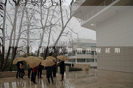 闪银纳米逾期出现延期 闪银纳米逾期出现延期