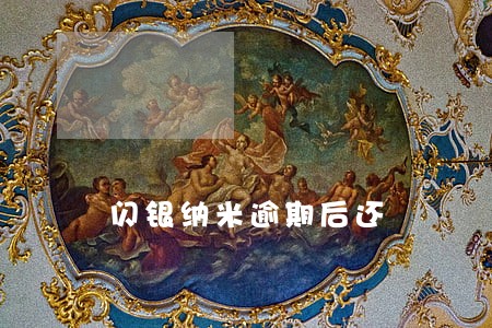 闪银纳米逾期后还 闪银纳米逾期后还