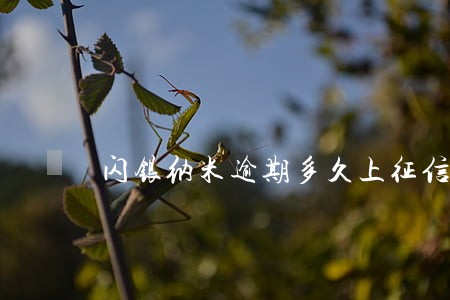 闪银纳米逾期多久上征信吗 闪银纳米逾期多久上征信吗