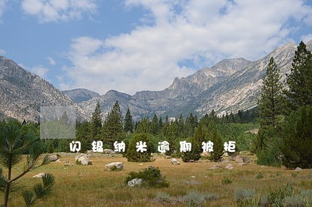 闪银纳米逾期被拒